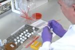 Badania Salmonelli / YouTube:  Public Health England