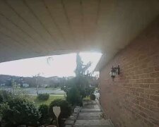 Domowy monitoring zarejestrował ducha. Nagranie mrozi krew w żyłach