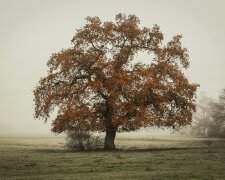 To wydarzy się już 30 października. Meteorolodzy nie mają wątpliwości