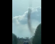 diabełek pyłowy, screen Facebook @SiecObserwatorowBurz