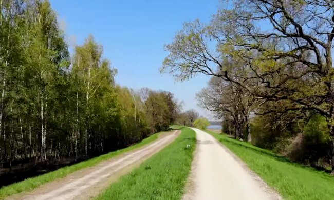 Prognoza pogody / screen youtube