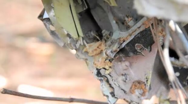 Elementy wraku Tu-154M/YouTube @Gazeta.pl