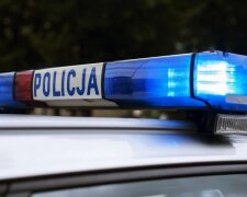 Policja/screen Pixabay