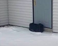 Porzucona torba / YouTube:  CBS Pittsburgh