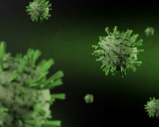 Groźny wirus, który miał zniknąć, wrócił do Europy. Odkryto go tuż obok polskiej granicy