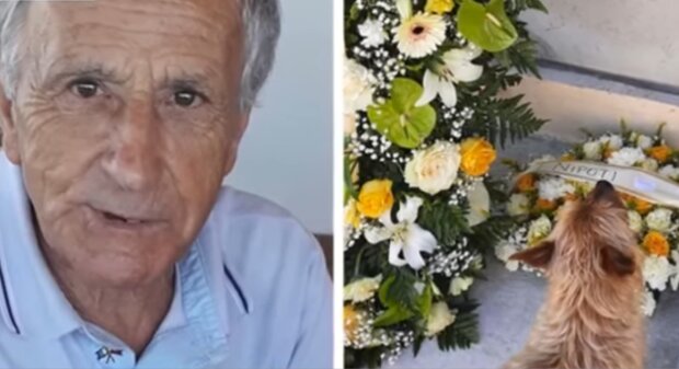 Leonard i Flumine/ YouTube @Stories of Animals