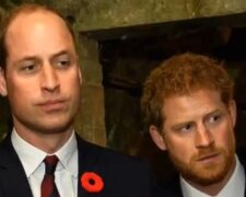 Książę Harry i Książę William screen YouTube