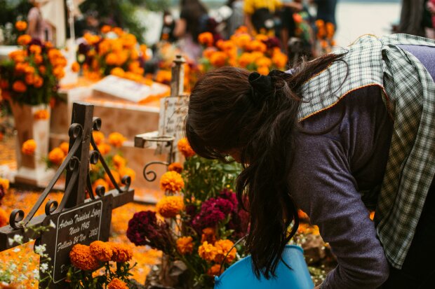 Najmodniejsze kwiaty na groby w tym roku. Nie zniszczy ich wiatr ani mróz